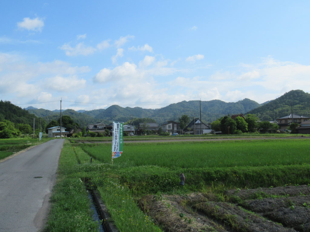 農都のめぐみ米栽培圃場