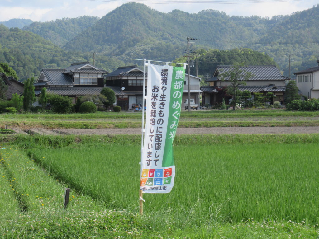 農都のめぐみ米の生産