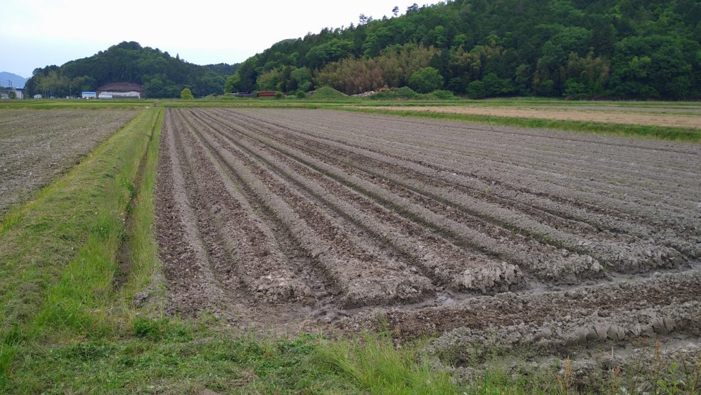 施肥、耕運後の圃場
